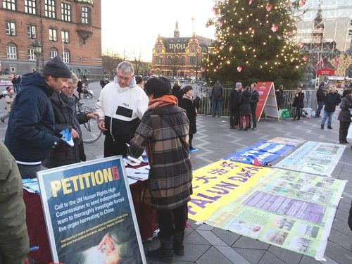 哥本哈根市政厅前的圣诞树旁，民众了解法轮功真相