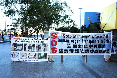 图1-3：澳洲昆士兰法轮功学员在布里斯本广场举行反迫害十五周年纪念活动，呼吁停止迫害。