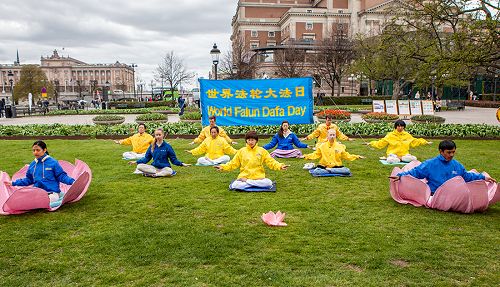 瑞典法轮功学员聚集在首都斯德哥尔摩樱花盛开的皇家花园，提前庆祝即将来临的“五一三世界法轮大法日”。他们在演示法轮功第五套功法。