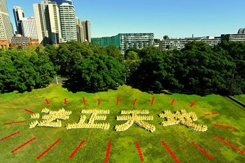 '图1：澳洲法轮功学员在悉尼皇家植物园大草坪上排字“法正天地”，展示修炼的坚定信念。'