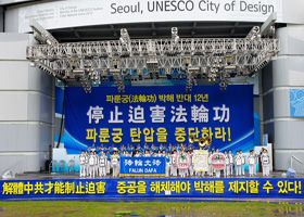 韩国多团体首尔广场声援法轮功