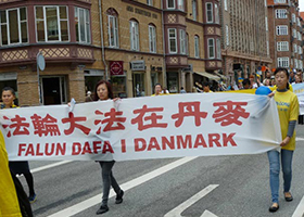在丹麦文化节讲真相