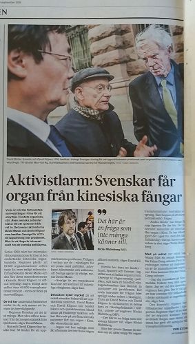 '图1：《瑞典日报》（SVD）关于中共强摘器官问题的报道'