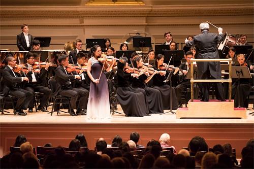 '图5：二零一八年十月七日下午，神韵交响乐团连续第七年在纽约卡耐基音乐厅演出。图为小提琴演奏家郑媛慧在演奏。'
