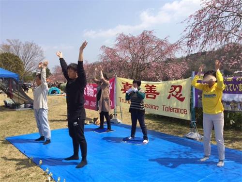 '图1～4：法轮功学员在丰田市水源公园樱花节的草坪上炼功'
