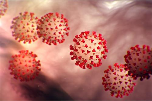 美国疾病与预防中心（CDC）刊出的新型冠状病毒的示意图（CDC网站）。