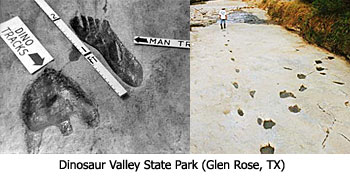 '图9：人类与恐龙脚印化石的历史照片（目前人类部份已被拆除）'