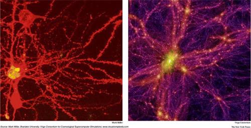 '图26：人脑神经结构与模拟宇宙大尺度结构'