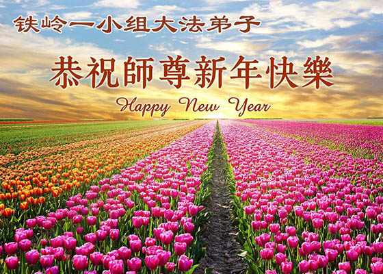 中国30省大法弟子恭祝师尊新年快乐